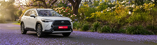 Spring Special Offer image