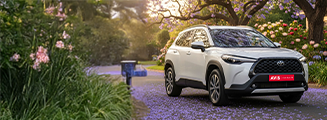 Spring Special Offer image